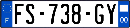 FS-738-GY
