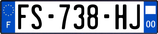 FS-738-HJ