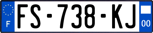 FS-738-KJ