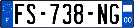FS-738-NG