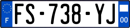 FS-738-YJ