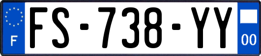FS-738-YY