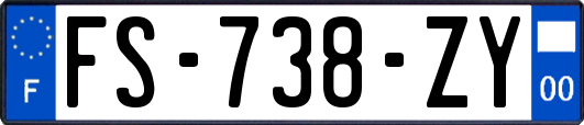 FS-738-ZY