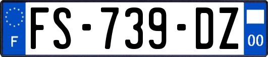FS-739-DZ