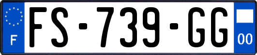 FS-739-GG