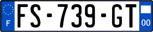 FS-739-GT