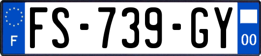 FS-739-GY