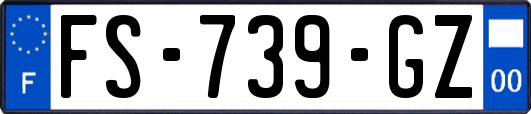 FS-739-GZ