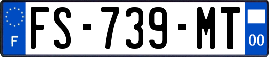FS-739-MT