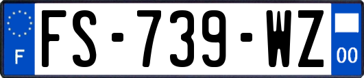 FS-739-WZ