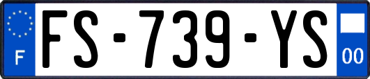 FS-739-YS