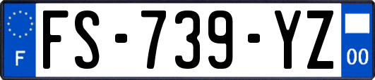 FS-739-YZ