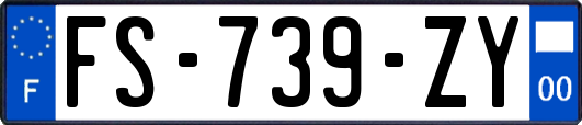 FS-739-ZY