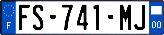 FS-741-MJ