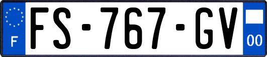 FS-767-GV