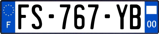 FS-767-YB