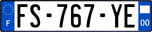 FS-767-YE