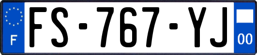 FS-767-YJ