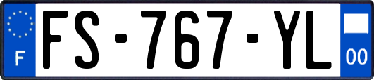 FS-767-YL