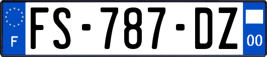 FS-787-DZ