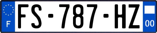 FS-787-HZ