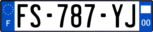 FS-787-YJ