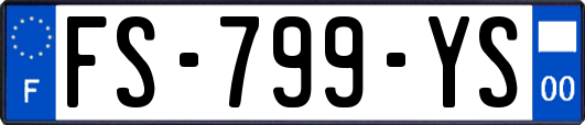 FS-799-YS