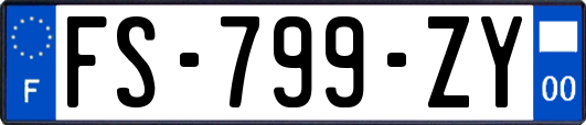 FS-799-ZY