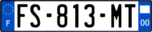 FS-813-MT