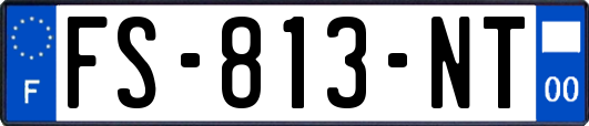 FS-813-NT