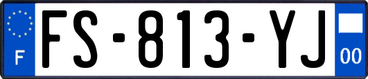 FS-813-YJ