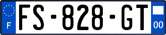 FS-828-GT