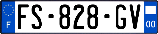 FS-828-GV