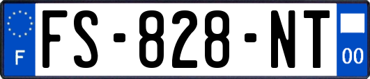 FS-828-NT