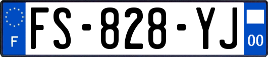 FS-828-YJ