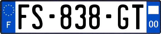FS-838-GT
