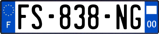 FS-838-NG