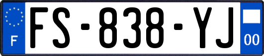 FS-838-YJ