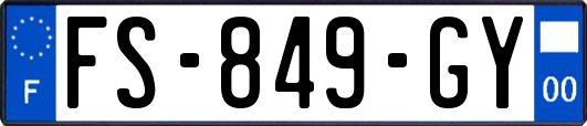 FS-849-GY