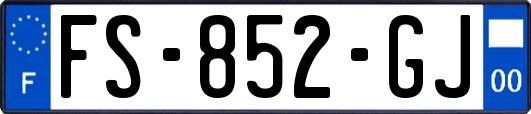 FS-852-GJ