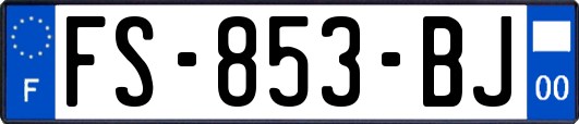 FS-853-BJ