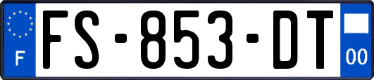 FS-853-DT