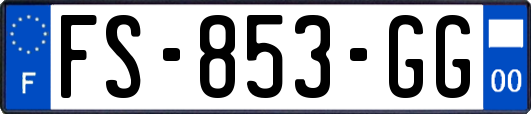 FS-853-GG