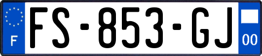 FS-853-GJ