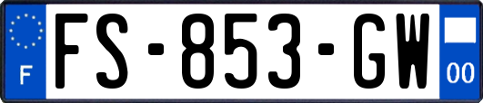 FS-853-GW