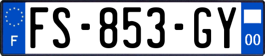 FS-853-GY
