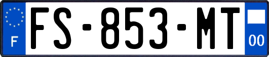 FS-853-MT