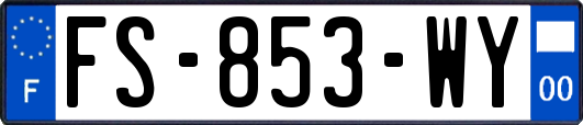 FS-853-WY