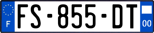 FS-855-DT