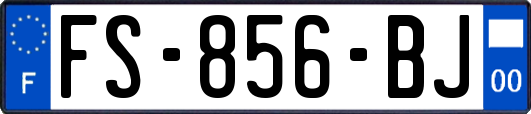 FS-856-BJ